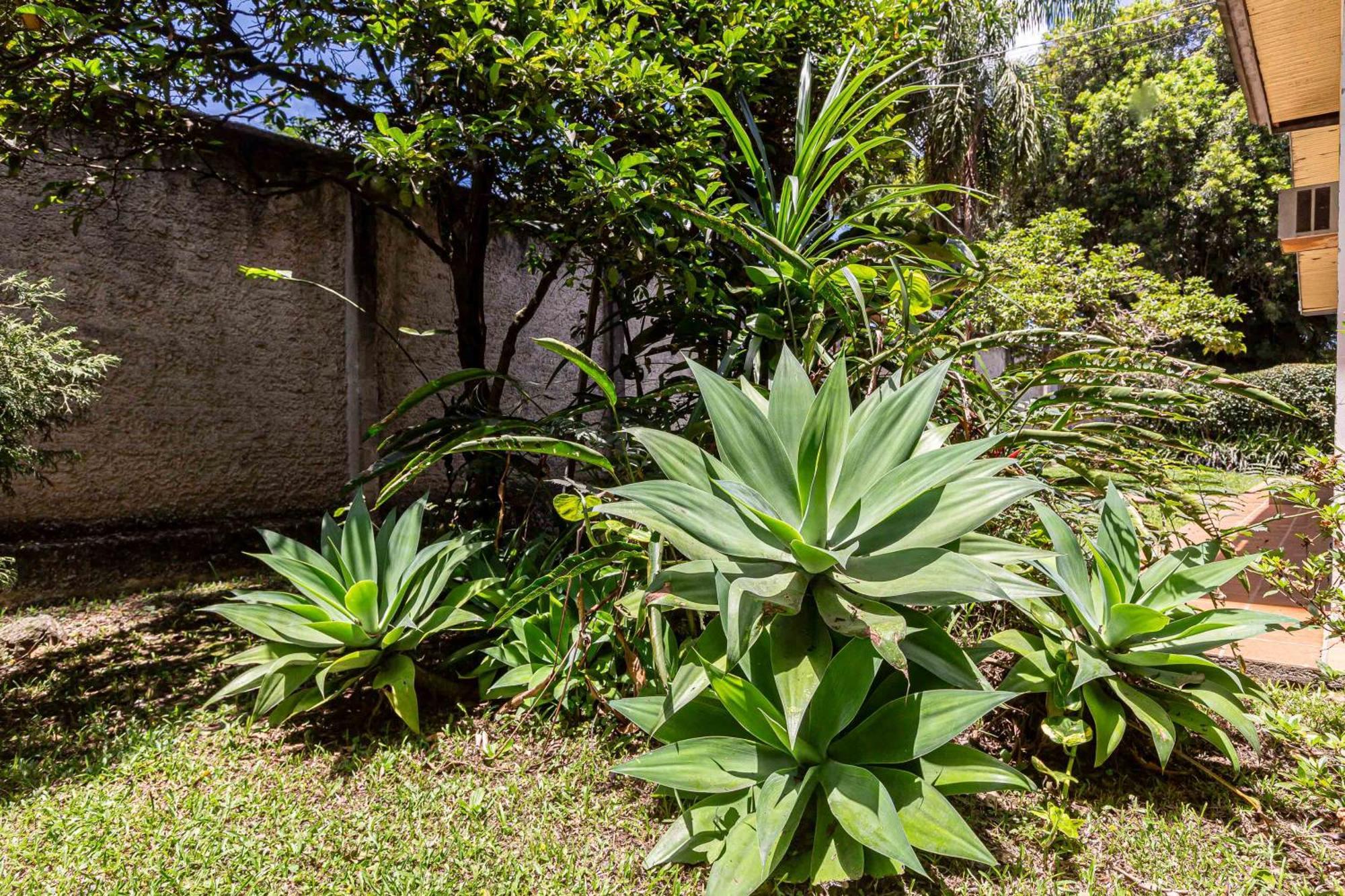 Memora Guesthouse Curitiba - Quartos Em Casa Proximo Ao Parque Bacacheri Exterior foto